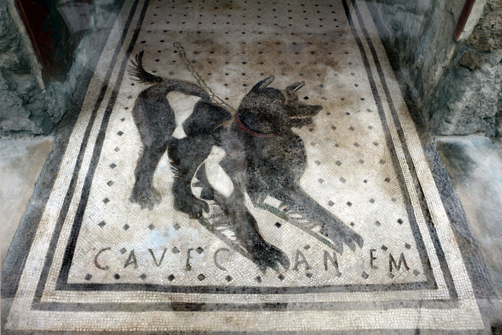 Mosaïque Cave Canem dans la Maison du Poète Tragique, Pompéi